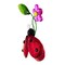 Crystal Expressions 3.0 Inch Wishing Ladybug Everyday Tree Ornament , Good Luck Ladybug